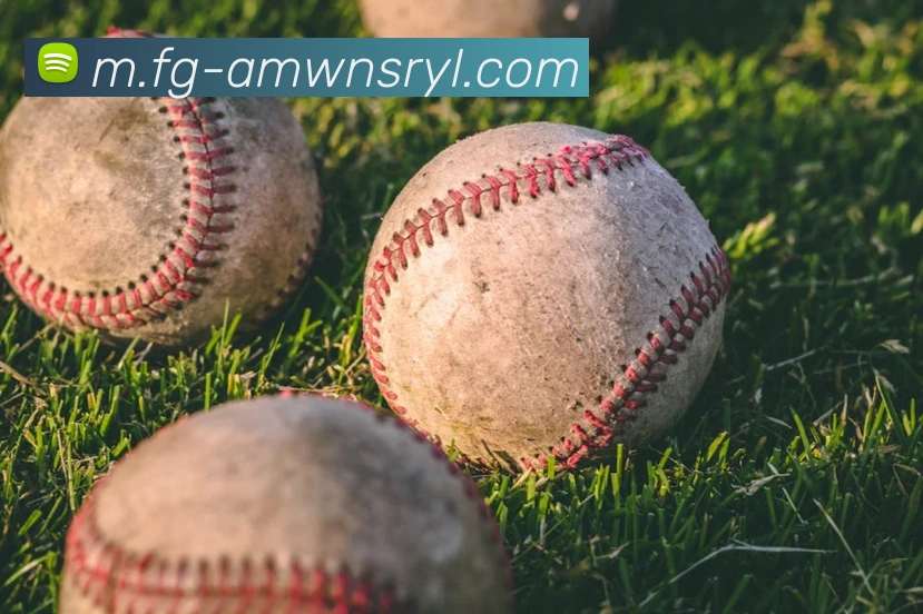 威尼斯人娱乐官网平台生态图